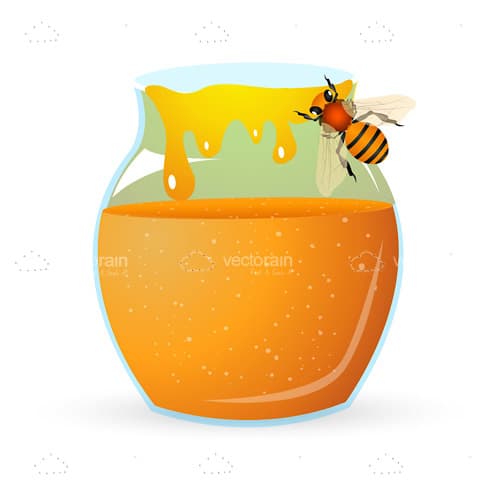 Illustrated Jar of Honey with Bee